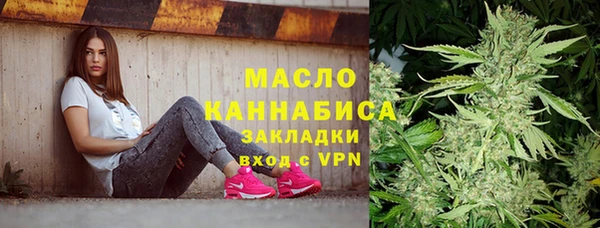дмт Надым