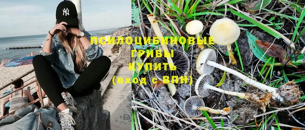 соль ск Наволоки