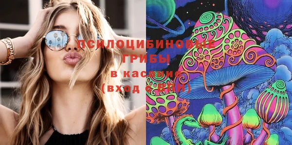 соль ск Наволоки