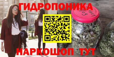 Альфа ПВП Аша