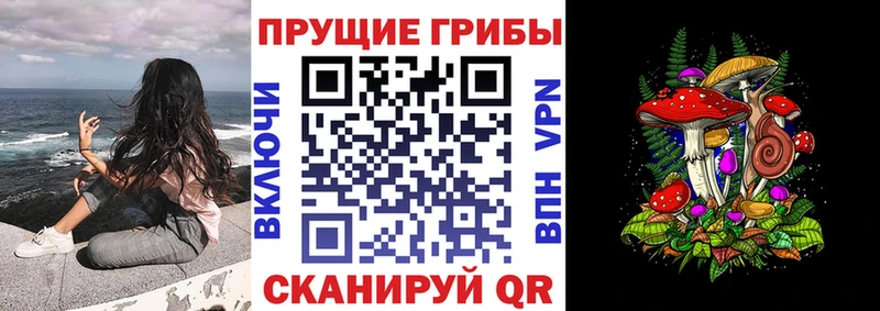 Галлюциногенные грибы MAGIC MUSHROOMS  Смоленск 