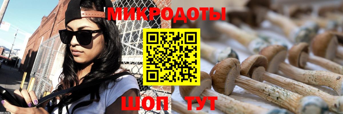 Смоленск  Псилоцибиновые грибы MAGIC MUSHROOMS  Вход с VPN 
